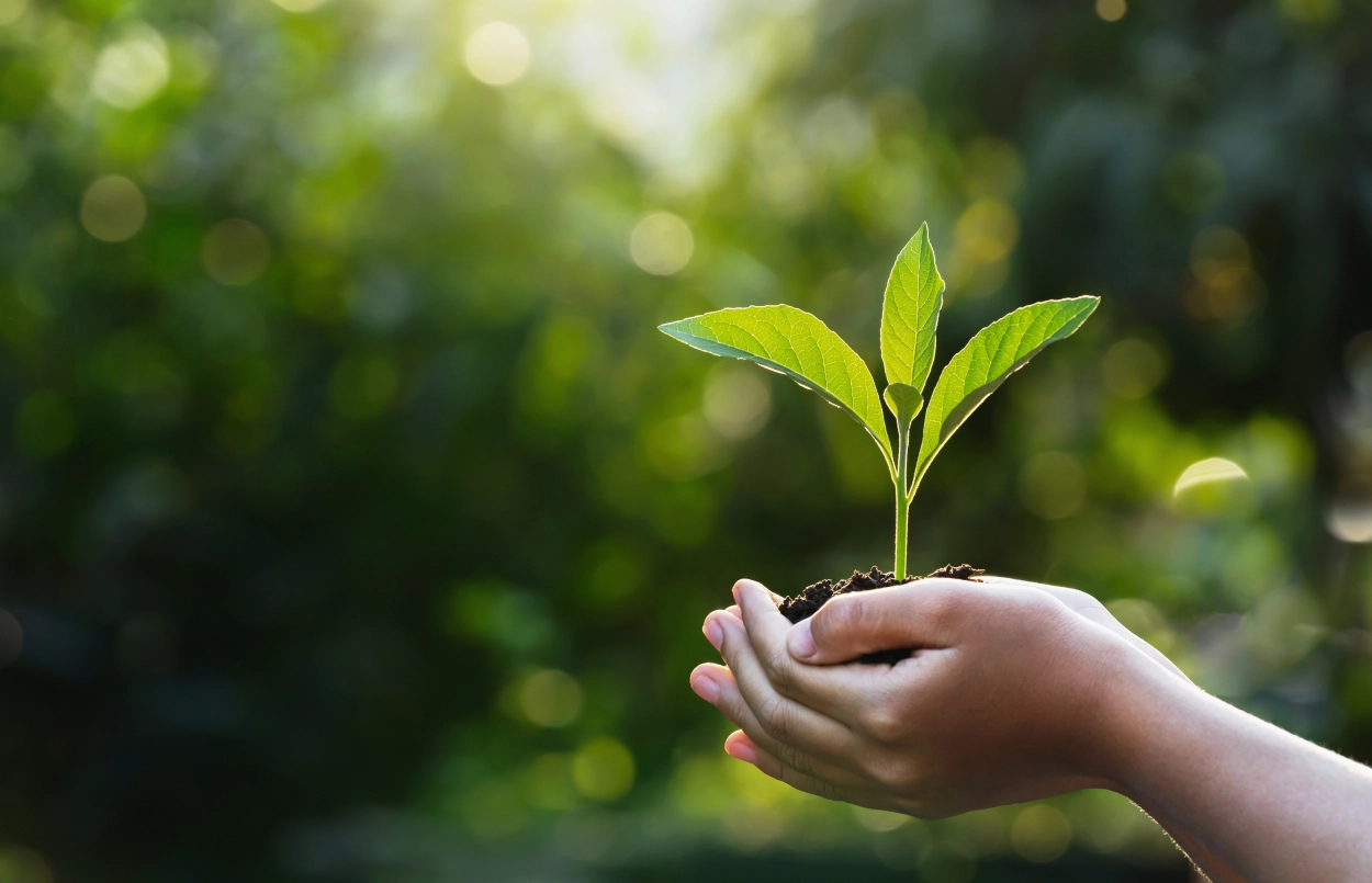 Company's commitment to Corporate Social Responsibility